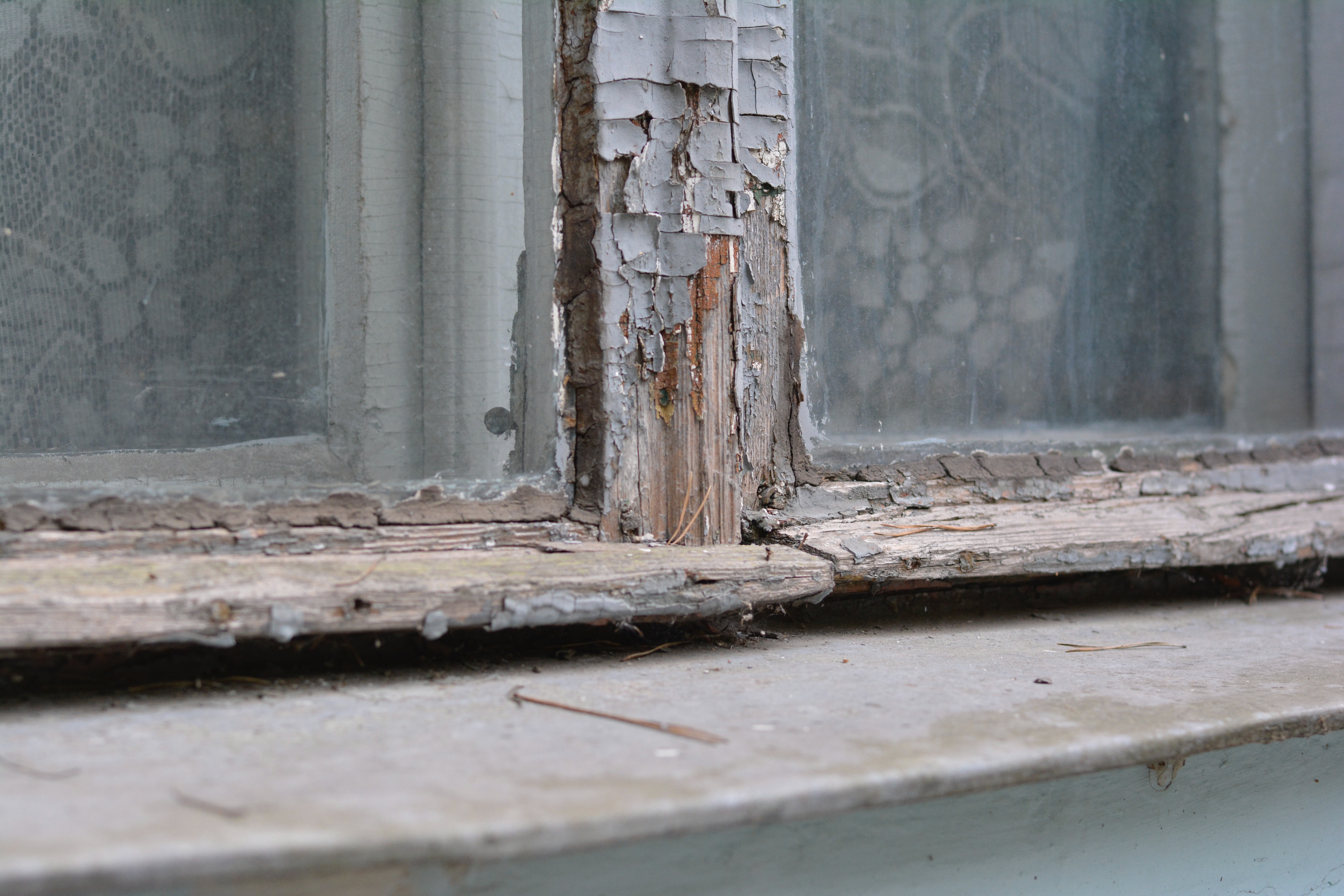 Image for The Educational Impacts of Lead Exposure